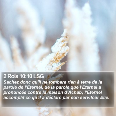 2 Rois 10:10 LSG Bible Verse Image
