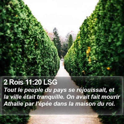 2 Rois 11:20 LSG Bible Verse Image