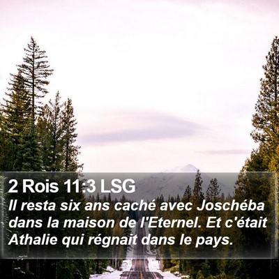 2 Rois 11:3 LSG Bible Verse Image