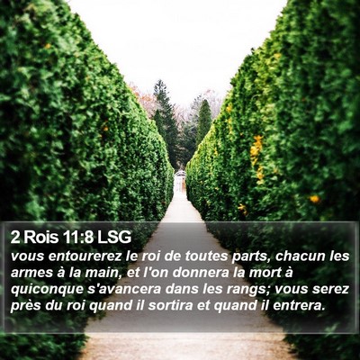 2 Rois 11:8 LSG Bible Verse Image