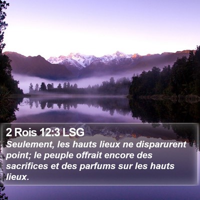 2 Rois 12:3 LSG Bible Verse Image