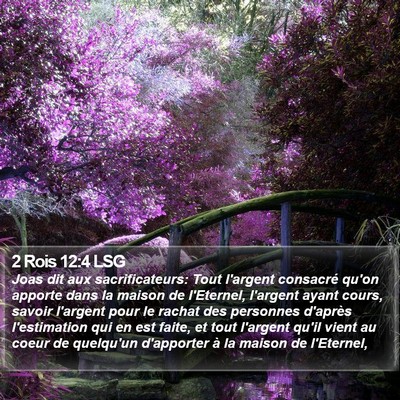 2 Rois 12:4 LSG Bible Verse Image