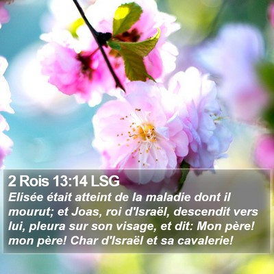2 Rois 13:14 LSG Bible Verse Image