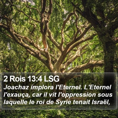 2 Rois 13:4 LSG Bible Verse Image
