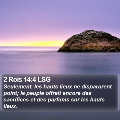 2 Rois 14:4 LSG Bible Verse Image