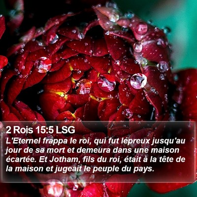 2 Rois 15:5 LSG Bible Verse Image