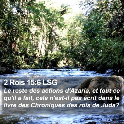 2 Rois 15:6 LSG Bible Verse Image