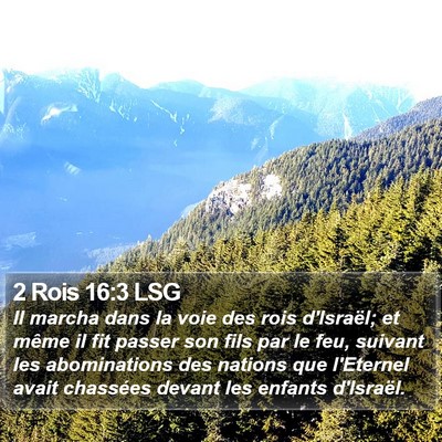 2 Rois 16:3 LSG Bible Verse Image
