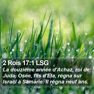 2 Rois 17:1 LSG Bible Verse Image