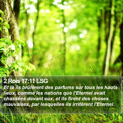 2 Rois 17:11 LSG Bible Verse Image