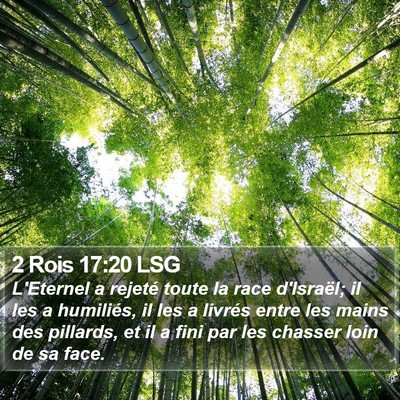 2 Rois 17:20 LSG Bible Verse Image