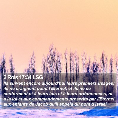 2 Rois 17:34 LSG Bible Verse Image