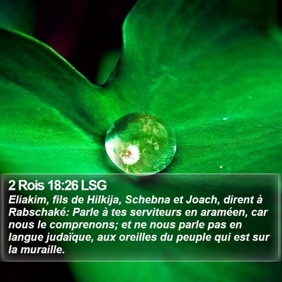 2 Rois 18:26 LSG Bible Verse Image