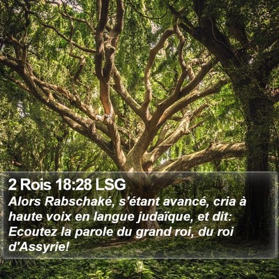 2 Rois 18:28 LSG Bible Verse Image