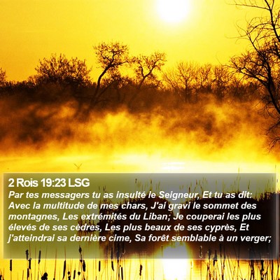 2 Rois 19:23 LSG Bible Verse Image