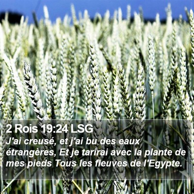 2 Rois 19:24 LSG Bible Verse Image