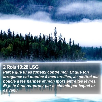 2 Rois 19:28 LSG Bible Verse Image