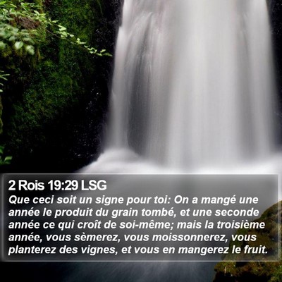 2 Rois 19:29 LSG Bible Verse Image