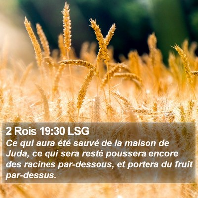 2 Rois 19:30 LSG Bible Verse Image