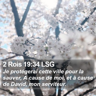 2 Rois 19:34 LSG Bible Verse Image