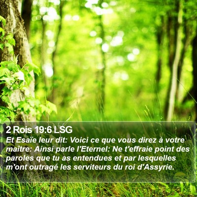 2 Rois 19:6 LSG Bible Verse Image