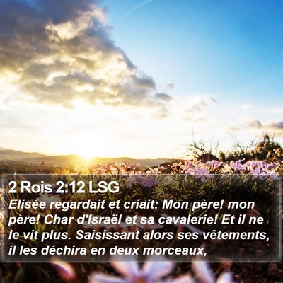 2 Rois 2:12 LSG Bible Verse Image