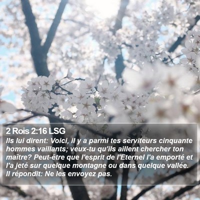 2 Rois 2:16 LSG Bible Verse Image