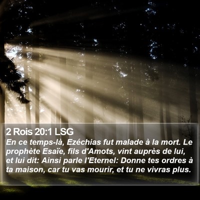 2 Rois 20:1 LSG Bible Verse Image