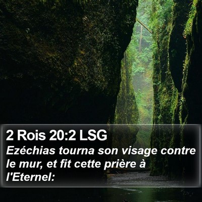 2 Rois 20:2 LSG Bible Verse Image