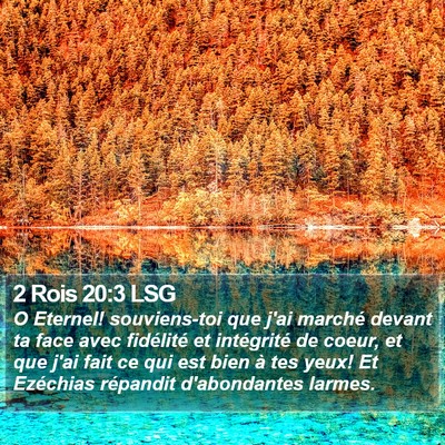 2 Rois 20:3 LSG Bible Verse Image