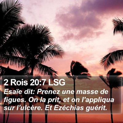 2 Rois 20:7 LSG Bible Verse Image
