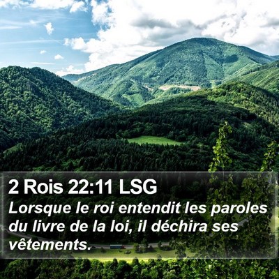 2 Rois 22:11 LSG Bible Verse Image