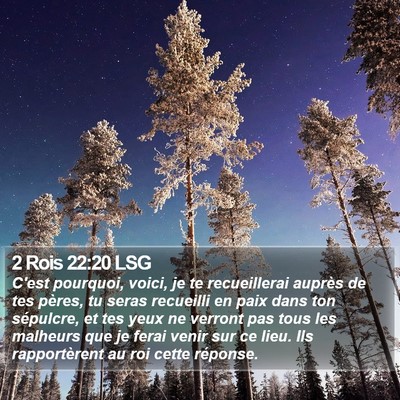 2 Rois 22:20 LSG Bible Verse Image