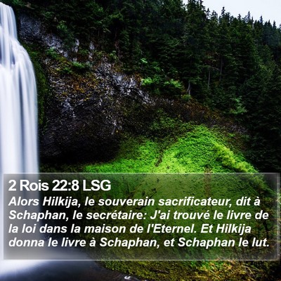 2 Rois 22:8 LSG Bible Verse Image