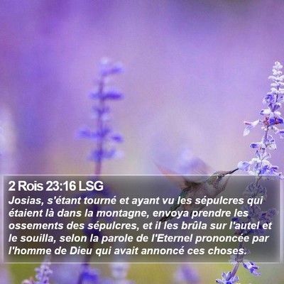 2 Rois 23:16 LSG Bible Verse Image