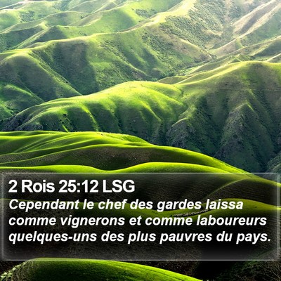 2 Rois 25:12 LSG Bible Verse Image