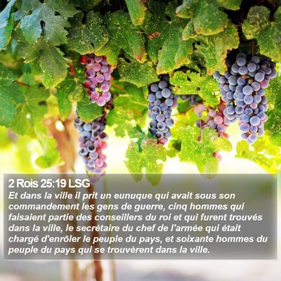 2 Rois 25:19 LSG Bible Verse Image