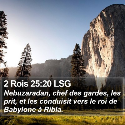 2 Rois 25:20 LSG Bible Verse Image