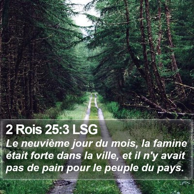 2 Rois 25:3 LSG Bible Verse Image