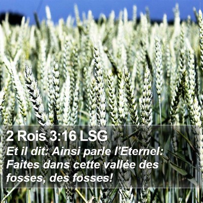 2 Rois 3:16 LSG Bible Verse Image