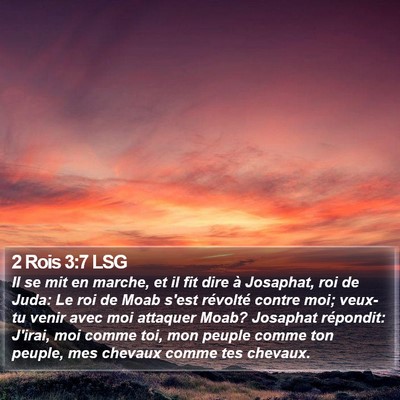 2 Rois 3:7 LSG Bible Verse Image