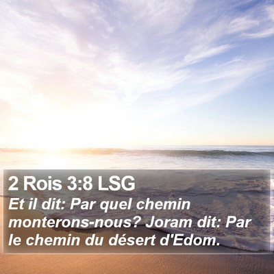 2 Rois 3:8 LSG Bible Verse Image