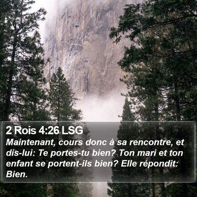 2 Rois 4:26 LSG Bible Verse Image