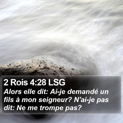 2 Rois 4:28 LSG Bible Verse Image