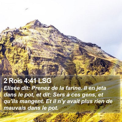 2 Rois 4:41 LSG Bible Verse Image