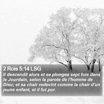 2 Rois 5:14 LSG Bible Verse Image