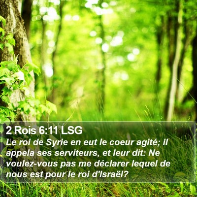 2 Rois 6:11 LSG Bible Verse Image