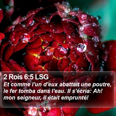 2 Rois 6:5 LSG Bible Verse Image