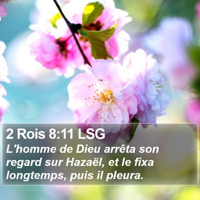 2 Rois 8:11 LSG Bible Verse Image