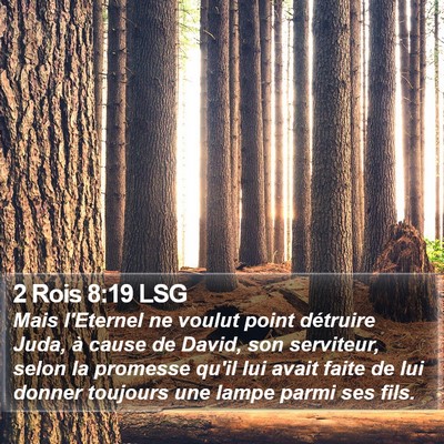 2 Rois 8:19 LSG Bible Verse Image